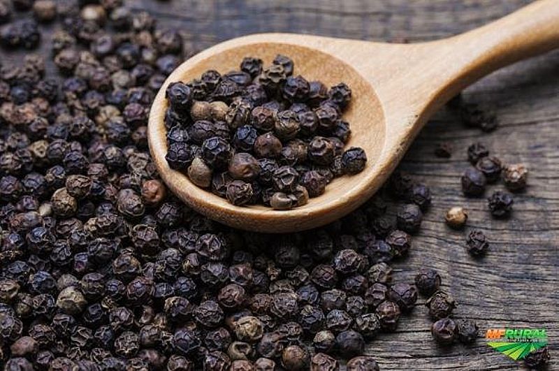 Pimenta do Reino em Grãos